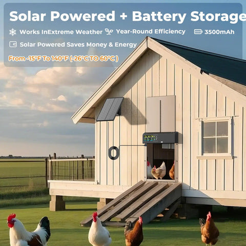 Solar Powered Automatic Chicken Coop Door No Brainer With 656 Foot Remote Control And 3500mAh Battery on white chicken coop
