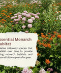 Native Milkweed Variety Pack For Monarch Gardens With Five Essential Species Including Common, Showy, Pink Swamp, Narrowleaf, And Orange Butterfly Milkweed Seeds Non GMO Wildflower Mix For Pollinators flowering in garden.