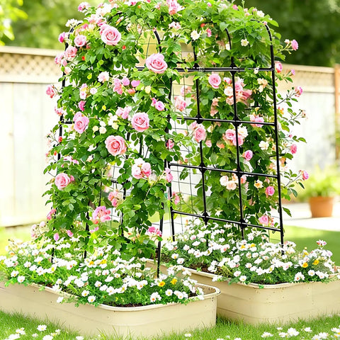 Heavy Duty 7.3Ft Cucumber Trellis For Raised Bed Garden Arch With Net Rustproof Steel Plant Support adorned with climbing roses