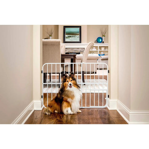 Tuffy Metal Expandable Pet Gate With Small Pet Door, 24 Inch Tall, in doorway with dog, expands 22 to 38 inches, pressure mount.