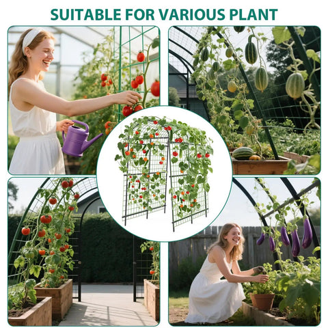 7.5 Foot Metal Garden Arch Trellis Arbor With Netting in garden with tomatoes, melons, and eggplants, outdoor setting