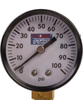 One Quarter Inch 100 PSI Gauge from the Pressure Tank Installation Kit With 1 Inch Brass Union Tank Tee To Fit Most Pressure Tanks Up To 16 Inches