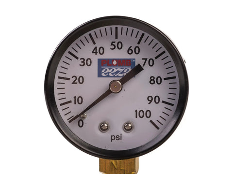 One Quarter Inch 100 PSI Gauge from the Pressure Tank Installation Kit With 1 Inch Brass Union Tank Tee To Fit Most Pressure Tanks Up To 16 Inches