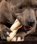 Dog chewing CareChewz Collagen Twist Keys Dog Chew Treats 6 To 7 Inch Natural Flavor Beef Hide Dental Style Snack For Strong Chewers.