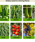 Grid of vegetables and fruits for 7 Ft Adjustable Garden Arch Trellis For Climbing Plants, including cucumbers and tomatoes.