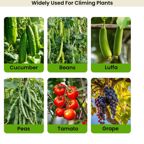 Grid of vegetables and fruits for 7 Ft Adjustable Garden Arch Trellis For Climbing Plants, including cucumbers and tomatoes.
