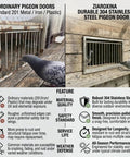 Comparison of ordinary pigeon door and Heavy Duty 304 Stainless Steel Pigeon Loft Trap Door with Bob Wire for durability and safety.