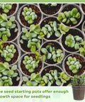 Clear 2 Inch Mini Plastic Plant Pots 200 Pack Seedling Starter Pots With Drainage Holes filled with seedlings in garden view