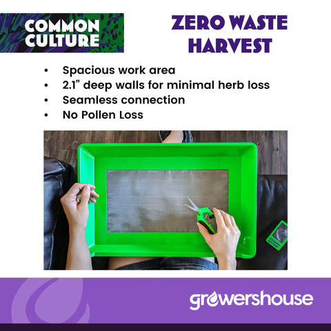 All In One Trimming Tray Kit For Plants With 13x20 Inch Tray And 150 Micron Pollen Screen Bottom Harvest Bin in use