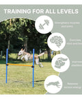 Pro Grade Dog Agility Hurdle With Height Adjustable Crossbar for Training And Outdoor Fun, dog jumping over durable bar