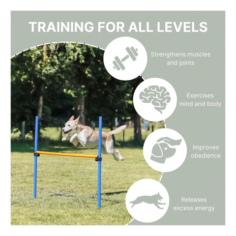 Pro Grade Dog Agility Hurdle With Height Adjustable Crossbar for Training And Outdoor Fun, dog jumping over durable bar
