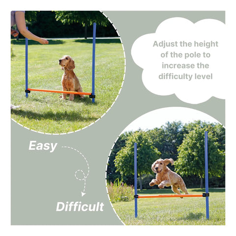 Pro Grade Dog Agility Hurdle with Height Adjustable Crossbar for training and outdoor fun, featuring a dog jumping and sitting.