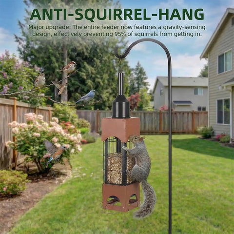 Squirrel Proof Outdoor Bird Feeders With 5 Pound Capacity Metal Tube Design Beefy Build Heavy Duty Chew Proof For Cardinal Finch Chickadee Birds Garden Yard Hanging Decor in a backyard with birds.