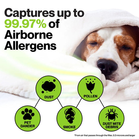 Sleeping dog wrapped in blanket surrounded by symbols for dust, pollen, pet dander, smoke, and dust mites. Three Pack Replacement HEPA Filters For Honeywell True HEPA Air Purifiers Included HPA300 HRF R3 R2 R1 Models Compatible With R Series Purifiers Premium Replacement Filters For Clean Air Odor Control And Peak Performance.