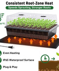 No Fuss Self Watering Seed Starter Kit With Grow Light And Heat Mat Seedling Tray With Humidity Dome For Indoor Germination