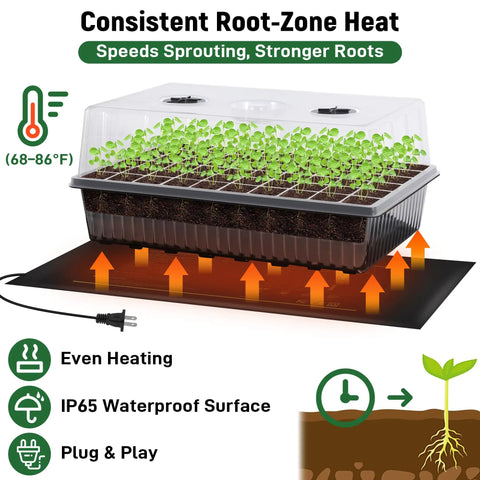 No Fuss Self Watering Seed Starter Kit With Grow Light And Heat Mat Seedling Tray With Humidity Dome For Indoor Germination