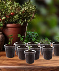 120 Pack 2 Inch Clear Mini Nursery Pots With Drainage Holes For Seed Starting And Seedlings on a wooden table outdoors.
