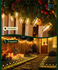 Outdoor Christmas Pathway Lights 2 Pack, 51.4 Ft Total, 40 Bulbs, Waterproof Walkway Lights for Yard, Garden, Driveway and Sidewalk, Connectable, 7W Per Bulb, 15 Inch Spacing, E17 Base, Clear installed on a garden pathway and hanging from a fence.