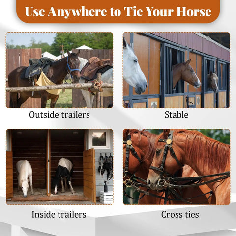 4 Pack Stainless Steel Horse Tie Rings for Training and Tension Relief, outdoor trailers, stable usage examples