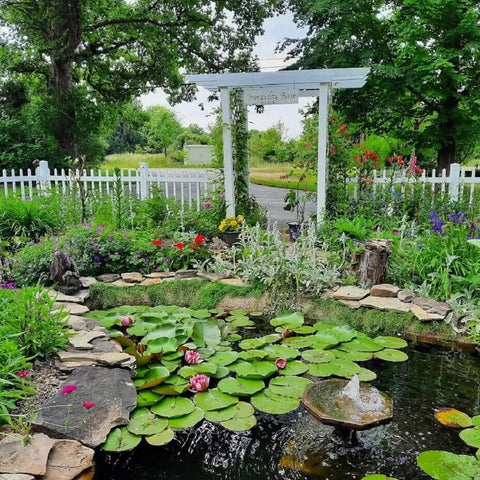 Lush garden pond with lily pads and a decorative white archway surrounded by flowers and greenery