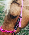 Horse wearing Hot Pink Side Pull Hackamore Attachment for Your Bridle, bitless bridle conversion with black chinstrap