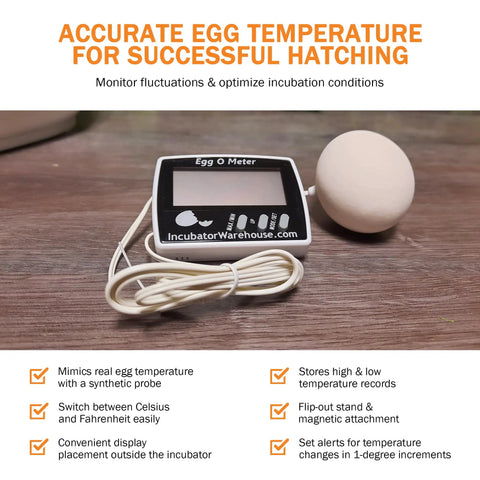 Egg Temperature Monitor With Large Digital Display For Inside Egg Readout Min Max Memory Celsius And Fahrenheit Precise Hatching Thermometer For Incubators Easy To Read Egg Gauge For DIY Hatchers showing screen and probe