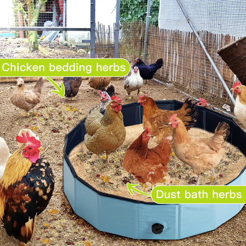 Chickens using Natural Chicken Hen House Bedding With Herbs And Flowers For Nesting Boxes Odor Control And Freshness.