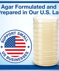 Hands On Microbiology Science Kit For Students With Ten Pre Poured Agar Plates And Cotton Tipped Sticks Learn Microbiology At Home Or In Class