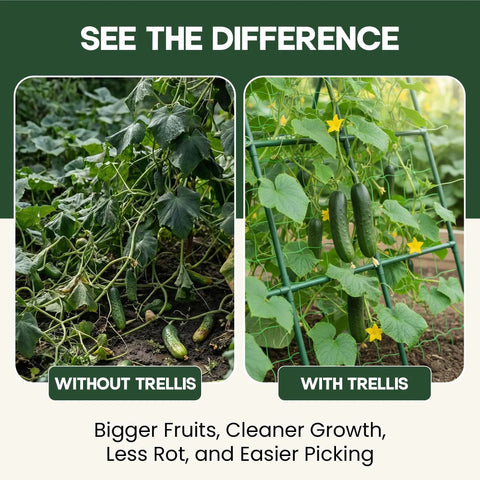 Comparison of garden beds with and without A Frame Garden Trellis For Raised Beds Ideal For Cucumbers Peas Zucchini Squash Tomatoes And More Built To Last With Rust Resistant Steel Easy Assembly In Minutes For Outdoor Climbing Plants. 