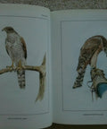 Classic Falconry From The British Isles Facsimile Edition 1855 Classic With 24 Full Color Plates Of Hawks Falcons And Falconry Gear