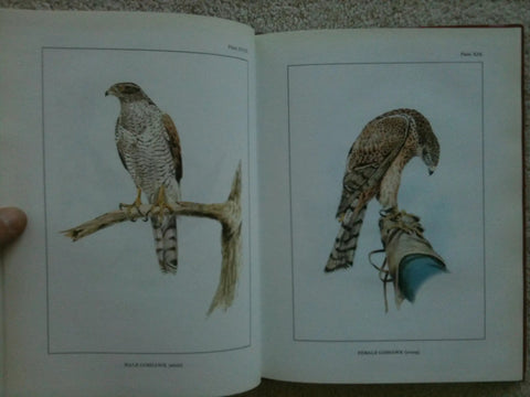 Classic Falconry From The British Isles Facsimile Edition 1855 Classic With 24 Full Color Plates Of Hawks Falcons And Falconry Gear
