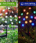Solar Garden Lights Outdoor Decorative Six Pack Multicolor LED Flower Stakes in constant and flashing modes, day-night view.