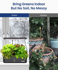 Indoor Hydroponics Grow Kit With 12 Pods, LED Grow Light And Built In Fan next to outdoor soil garden, shown by window.
