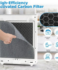 Close-up of Two Pack Vital 100 Replacement Filters with pre-filter being installed for air purification.