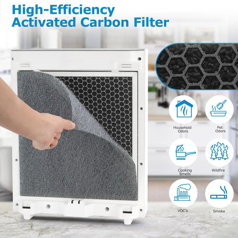 Close-up of Two Pack Vital 100 Replacement Filters with pre-filter being installed for air purification.