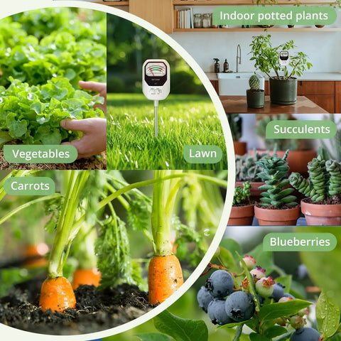 4 In 1 Soil Moisture Meter With Fertility PH And Sunlight Meter For Gardening And Farming Easy To Use Soil Tester For Indoor And Outdoor Plants Plant Care Gauge For Home Gardeners And Pros showing use in vegetables, lawn and potted plants