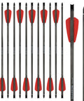 Carbon Crossbow Bolts 15 Inch With 100 Grain Removable Tips For Hunting Target Shooting, Red Fletching, Pack of 12