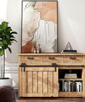 Wooden cabinet with sliding barn door, black hardware, decorative artwork on top, potted plant, and books on shelves.