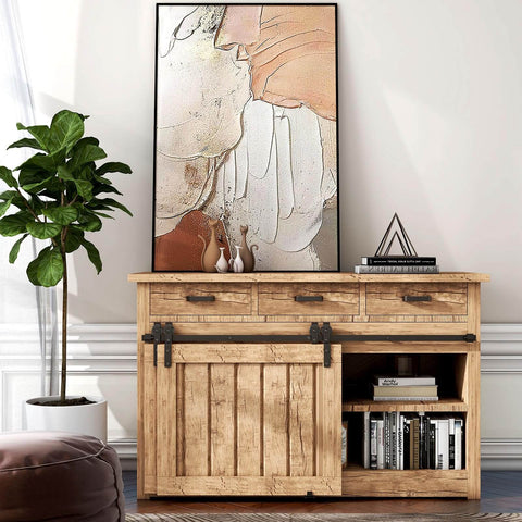 Wooden cabinet with sliding barn door, black hardware, decorative artwork on top, potted plant, and books on shelves.