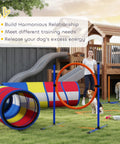 All In One Dog Agility Training Set 12 Piece Obstacle Course With Adjustable Hurdle And Ring Four Tunnels in garden setting