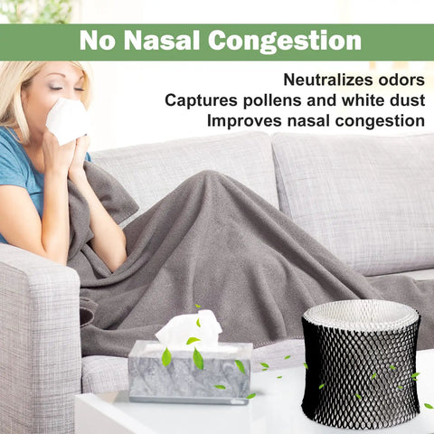 Woman on couch with tissue and filter, illustrating Budget Friendly Replacement Humidifier Filter B That Fits Sunbeam SCM1746 Holmes.
