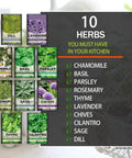 10 Herb Garden Kit Non GMO Heirloom Seeds For Indoor And Outdoor Windowsill Grow Kit With Thyme Lavender Chamomile Dill
