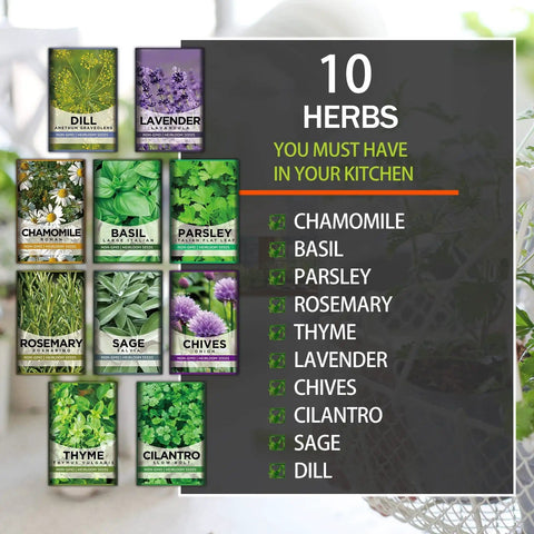 10 Herb Garden Kit Non GMO Heirloom Seeds For Indoor And Outdoor Windowsill Grow Kit With Thyme Lavender Chamomile Dill