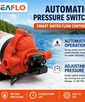 3.3 GPM 45 PSI Self Priming Fresh Water Pump For RV And Caravan With Automatic Demand And Smart Pressure Switch 115V AC