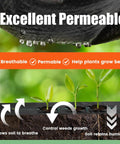Close-up view of "Tough As Nails Heavy Duty Woven Weed Barrier Fabric Ground Cover Mat 5 x 10 Feet Three Pack For Your Yard And Garden Landscape Permeable Weed Blocker With Air And Water Flow Keeps Weeds Out While Feeding Plants" demonstrating permeability with plant growth.