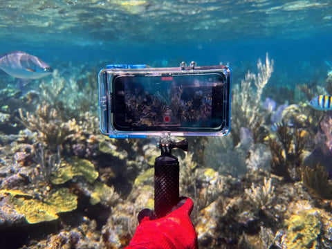 Dive 2.0 Waterproof iPhone Housing Delivers 130 Feet Depth Ultra Tough Underwater Case used in coral reef snorkeling scene