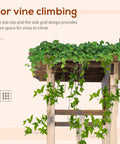 Top view of Carbonized Wood Garden Arbor with climbing vines, showcasing slat top and side grid design for vine growth