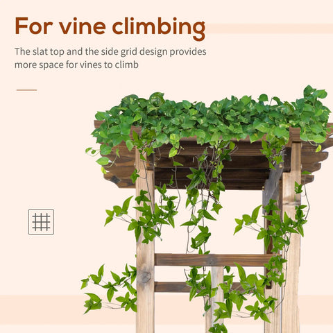 Top view of Carbonized Wood Garden Arbor with climbing vines, showcasing slat top and side grid design for vine growth