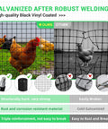 Comparison of 48 Inch By 100 Foot Black Vinyl Coated Hardware Cloth With One Half Inch Mesh, 19 Gauge Welded Wire Fence for Poultry Netting
