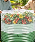 Garden Shield Net For Raised Beds, Bird Exclusion Mesh To Protect Vegetables Berries And Herbs, Circular Bed Cover over tomatoes